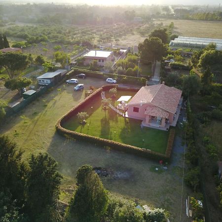 Il Melograno Di Nora Bed & Breakfast Pula Eksteriør bilde