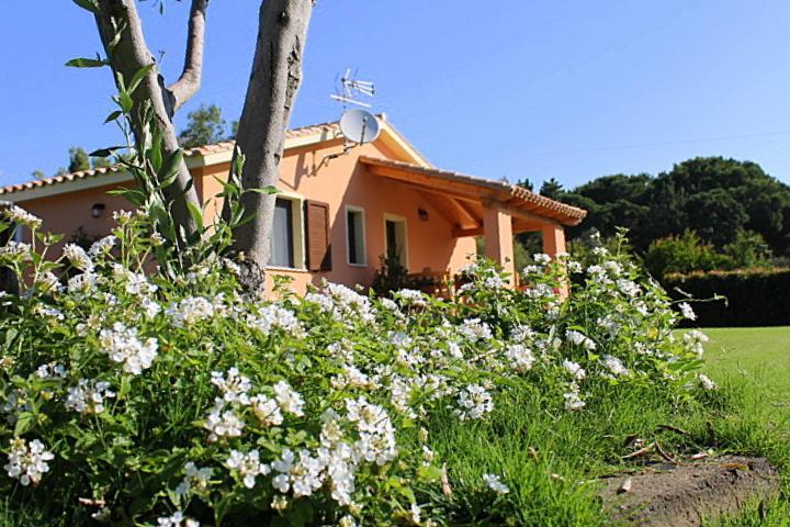 Il Melograno Di Nora Bed & Breakfast Pula Eksteriør bilde