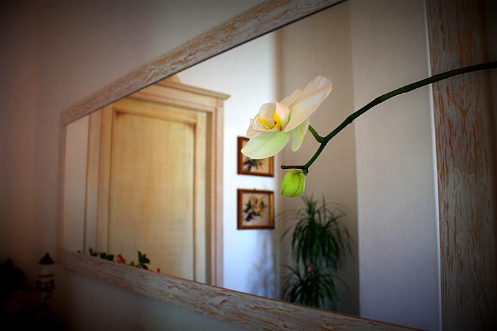Il Melograno Di Nora Bed & Breakfast Pula Eksteriør bilde